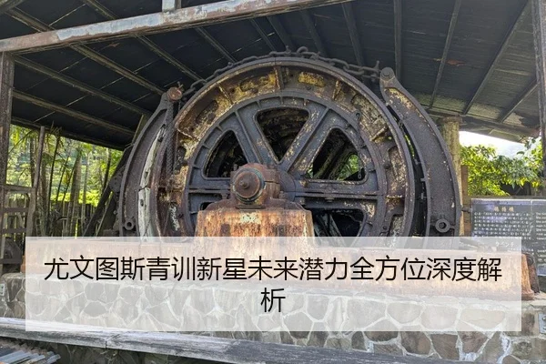 尤文图斯青训新星未来潜力全方位深度解析